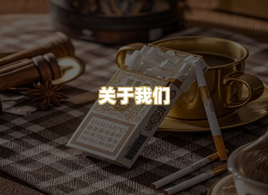 关于我们